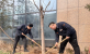 【能源使命】濟南能源投資控股集團： 弘揚志愿服務，齊建綠色城市   